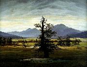 Caspar David Friedrich Village Landscape in Morning Light France oil painting artist